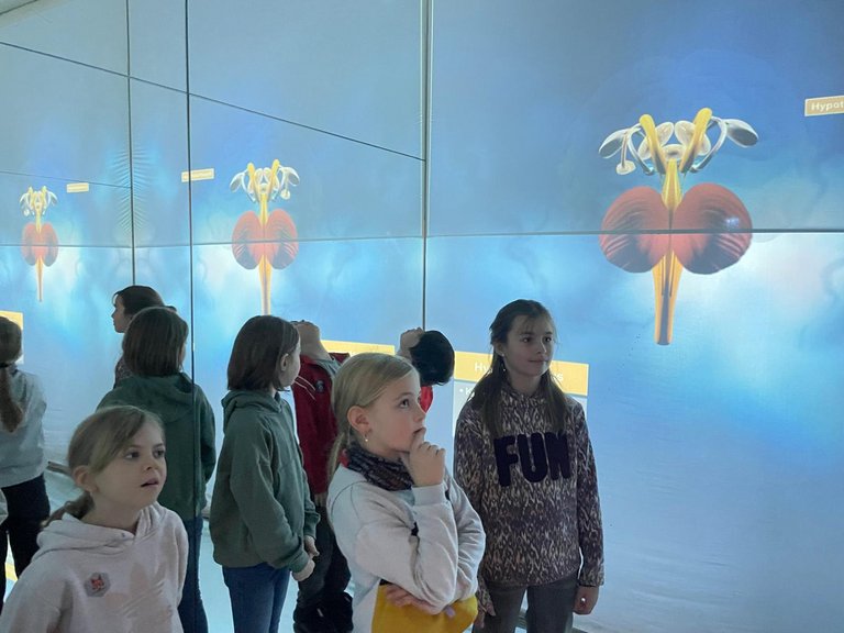 Foto_3.jpg 